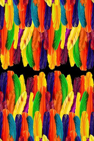 排列 羽毛 五彩 七彩 印花华亿平台图片