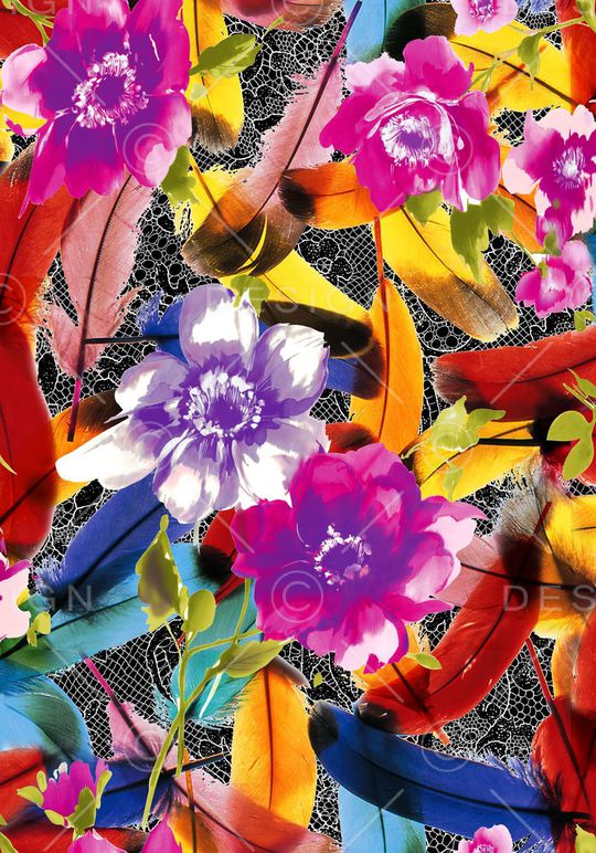 数码 羽毛 花卉 花朵 鲜艳 七彩印花华亿平台图片