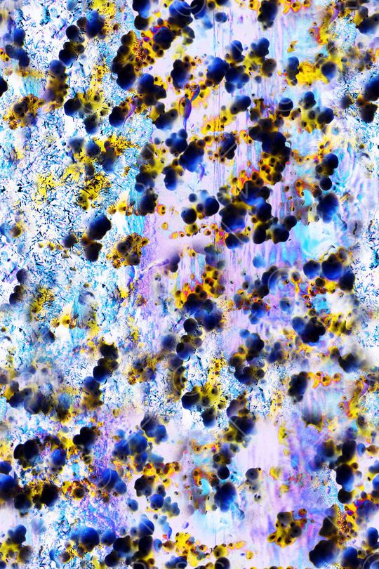 休闲印花华亿平台图片