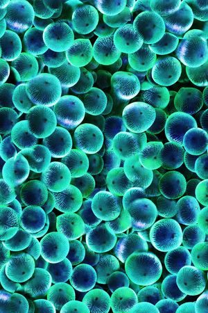 休闲印花华亿平台图片