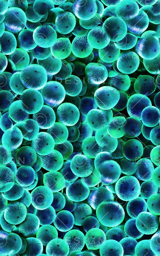 休闲印花华亿平台图片