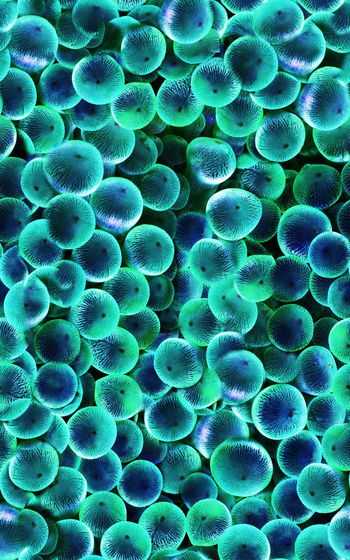 242533-WT041抽象几何圆夜明珠发光写实