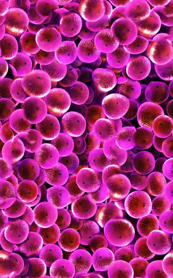 242534-抽象几何圆夜明珠发光写实印花华亿平台