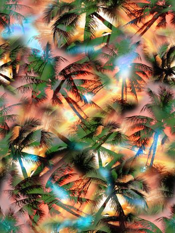 242589-热带风景椰树