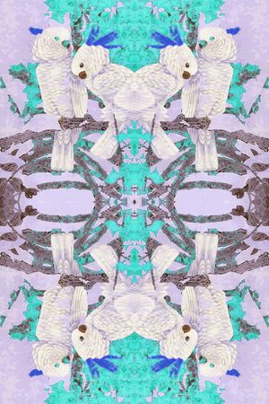 印花华亿平台图片