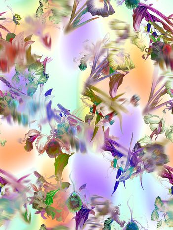 244382-多彩花卉花朵