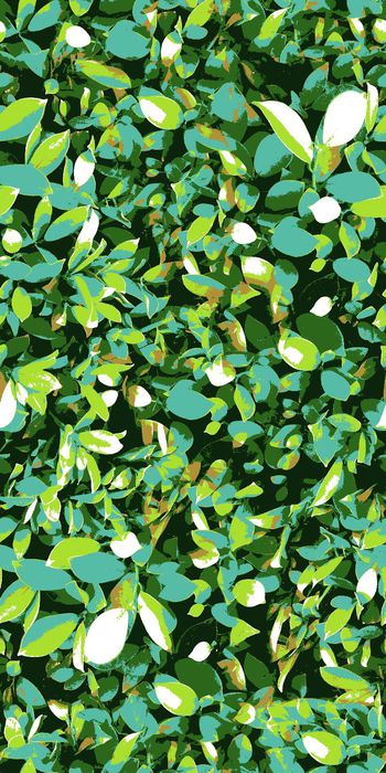 244584-WT044抽象叶子花瓣清新乱花倒插