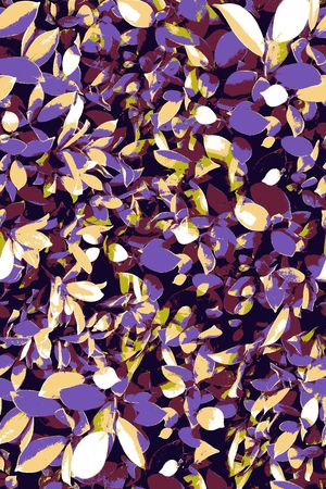 印花华亿平台图片