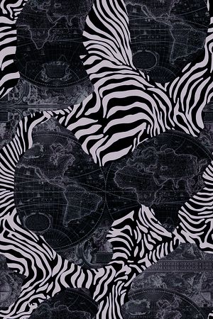 数码 服装 斑马纹 拼贴 动物纹 印花华亿平台图片