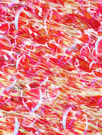 244801-抽象鱼群变幻图形印花华亿平台