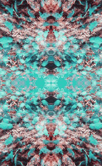 244804-WT049对称鱼群抽象变幻丰富印花