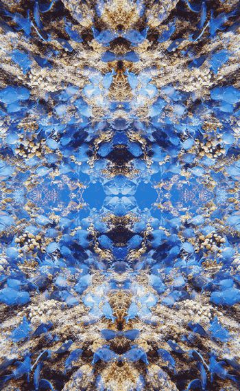 244805-对称鱼群抽象变幻丰富印花华亿平台