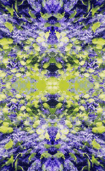 244806-对称鱼群抽象变幻丰富印花华亿平台