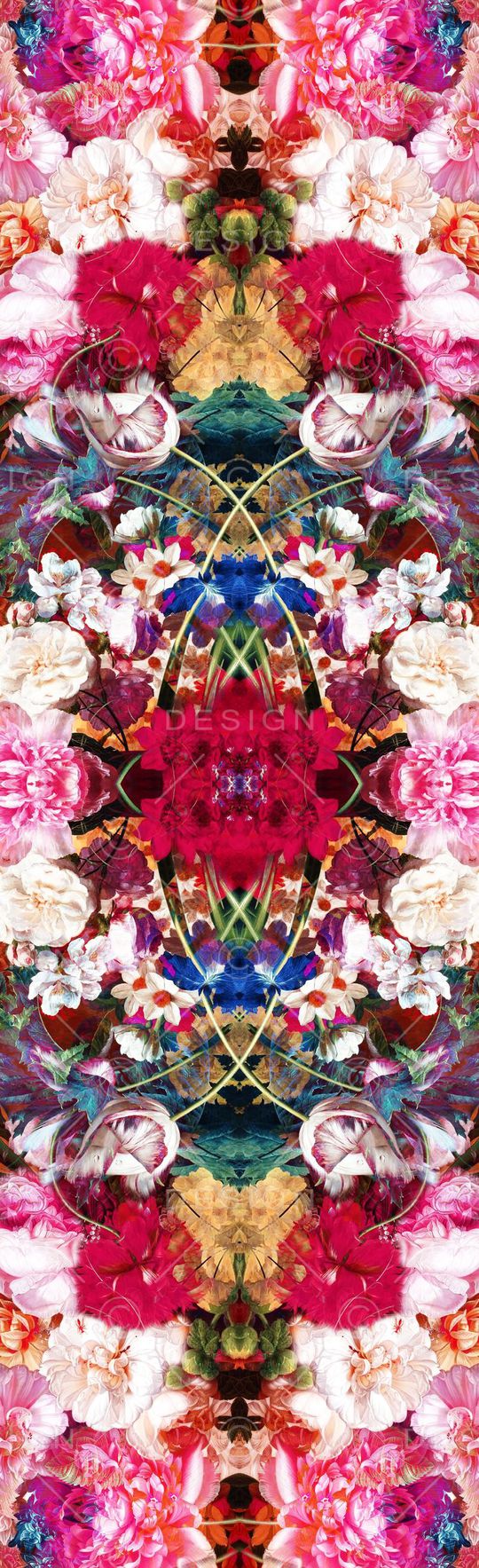 丰富 花卉 写实 变幻 绽放 长巾 粉色 对称印花华亿平台图片