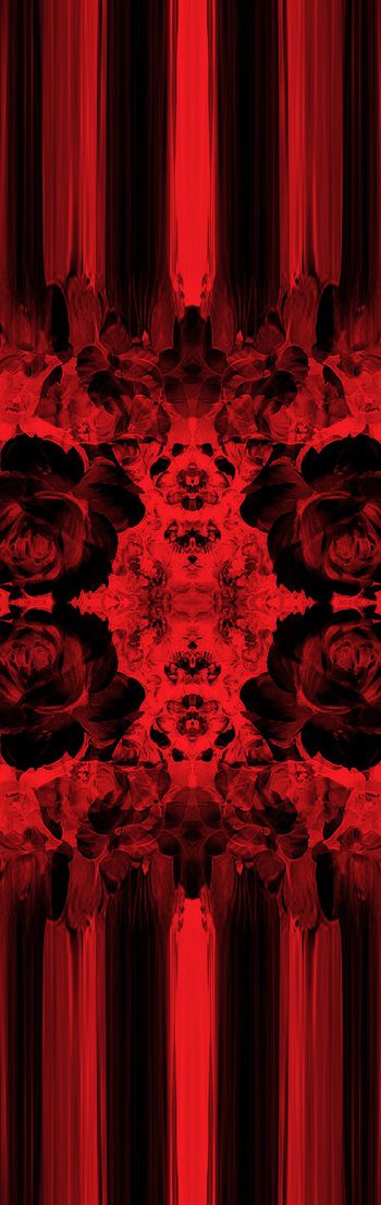 245219-花卉拉丝效果绽放长巾印花