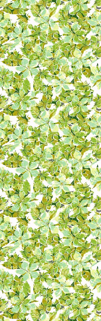 245455-WT056休闲花卉绽放长巾（8套色