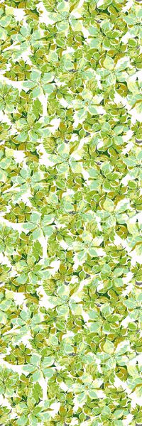 休闲  花卉  绽放 长巾 清新 绿色 印花华亿平台图片