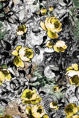 数码 蕾丝 性感 烂花  花卉 花朵 印花华亿平台图片