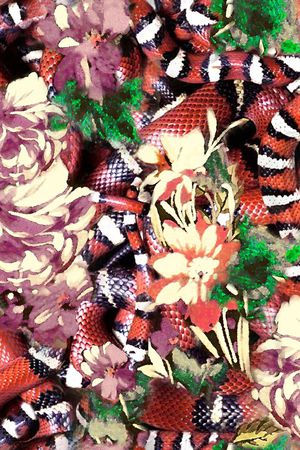 数码 蛇纹 花朵 鲜花 花卉 动物纹印花华亿平台图片