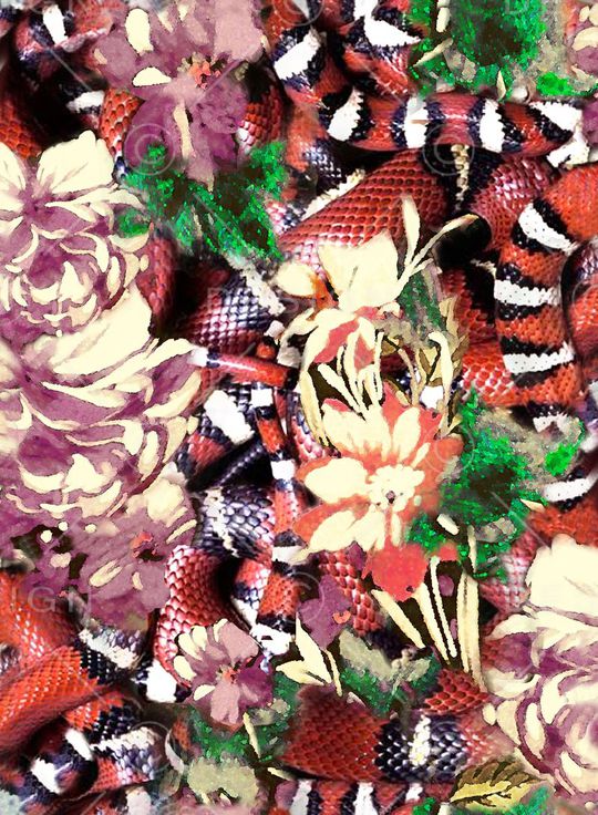 数码 蛇纹 花朵 鲜花 花卉 动物纹印花华亿平台图片