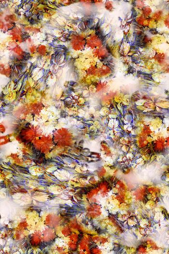 245679-油画效果多彩花卉花朵组合