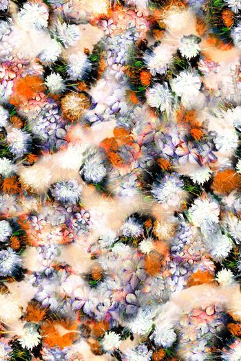 245683-油画朦胧效果花卉花朵