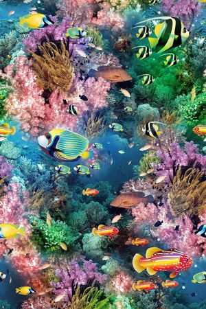 海底 世界 生物 海洋 鱼  热带 珊瑚 植物印花华亿平台图片