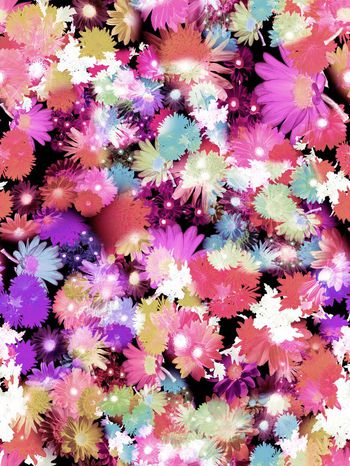 246466-多彩花卉花朵