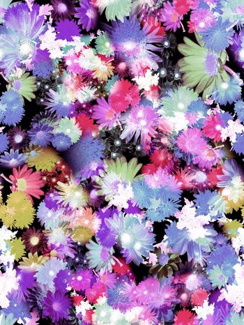 246467-多彩花卉花朵