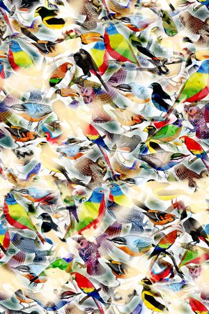 多彩 朦胧 花鸟 动物 数码 印花华亿平台图片