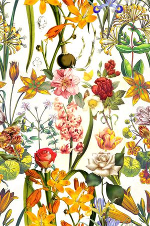 线条 抽象 五彩 花卉印花华亿平台图片