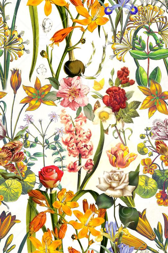 线条 抽象 五彩 花卉印花华亿平台图片