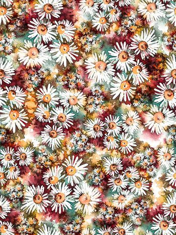 247036-小雏菊花卉花朵组合