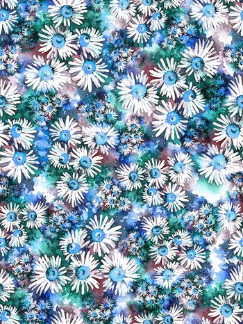 247037-小雏菊花卉花朵组合