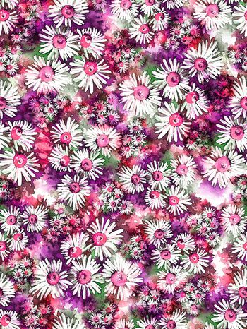 247038-小雏菊花卉花朵组合