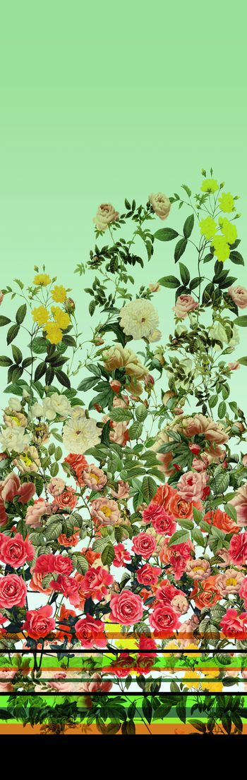 247225-单边定位花卉花朵组合