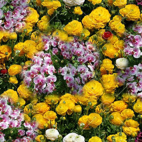 照片写实花卉印花华亿平台图片