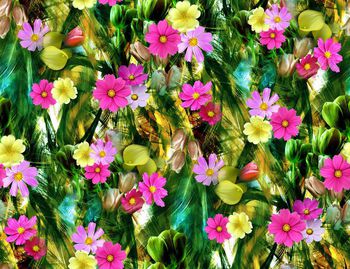 247476-数码椰树叶花朵