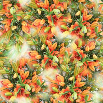 247485-数码百合花朵