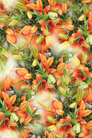 数码 百合 花朵 鲜艳 橘红 服装 裙子印花华亿平台图片