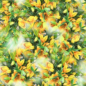 247486-数码百合花朵