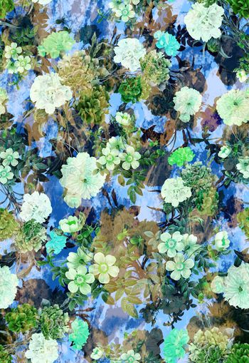 247547-多彩花卉花朵组合