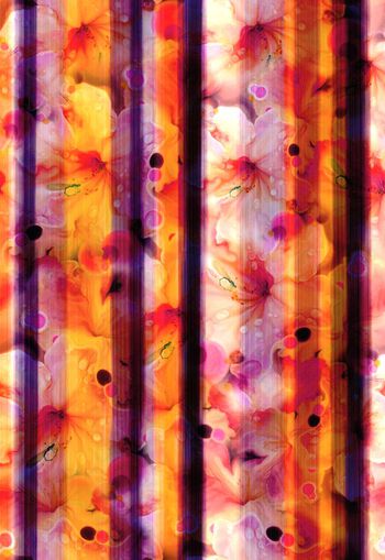 247551-竖条纹花卉花朵