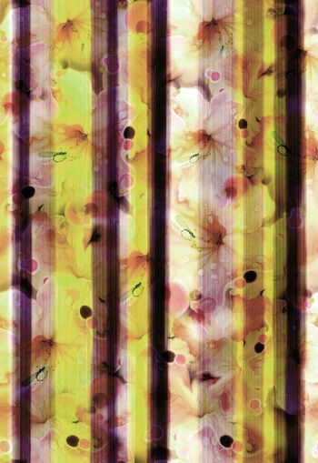 247552-竖条纹花卉花朵