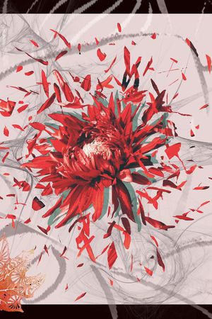 印花华亿平台图片