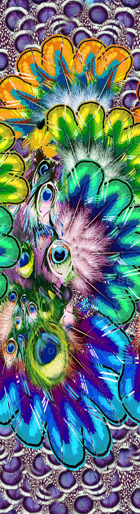 孔雀 羽毛 彩色 长巾 数码 印花华亿平台图片