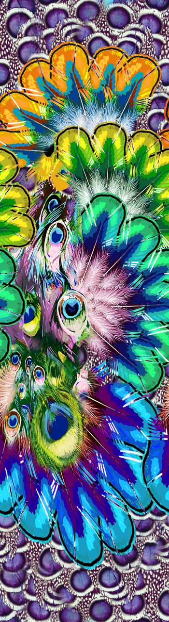 孔雀 羽毛 彩色 长巾 数码 印花华亿平台图片