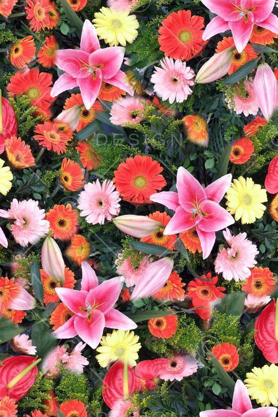 写实照片花卉印花华亿平台图片