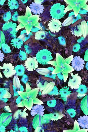 248209-数码百合花太阳花大花朵