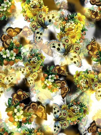 248219-蝴蝶花卉花朵组合